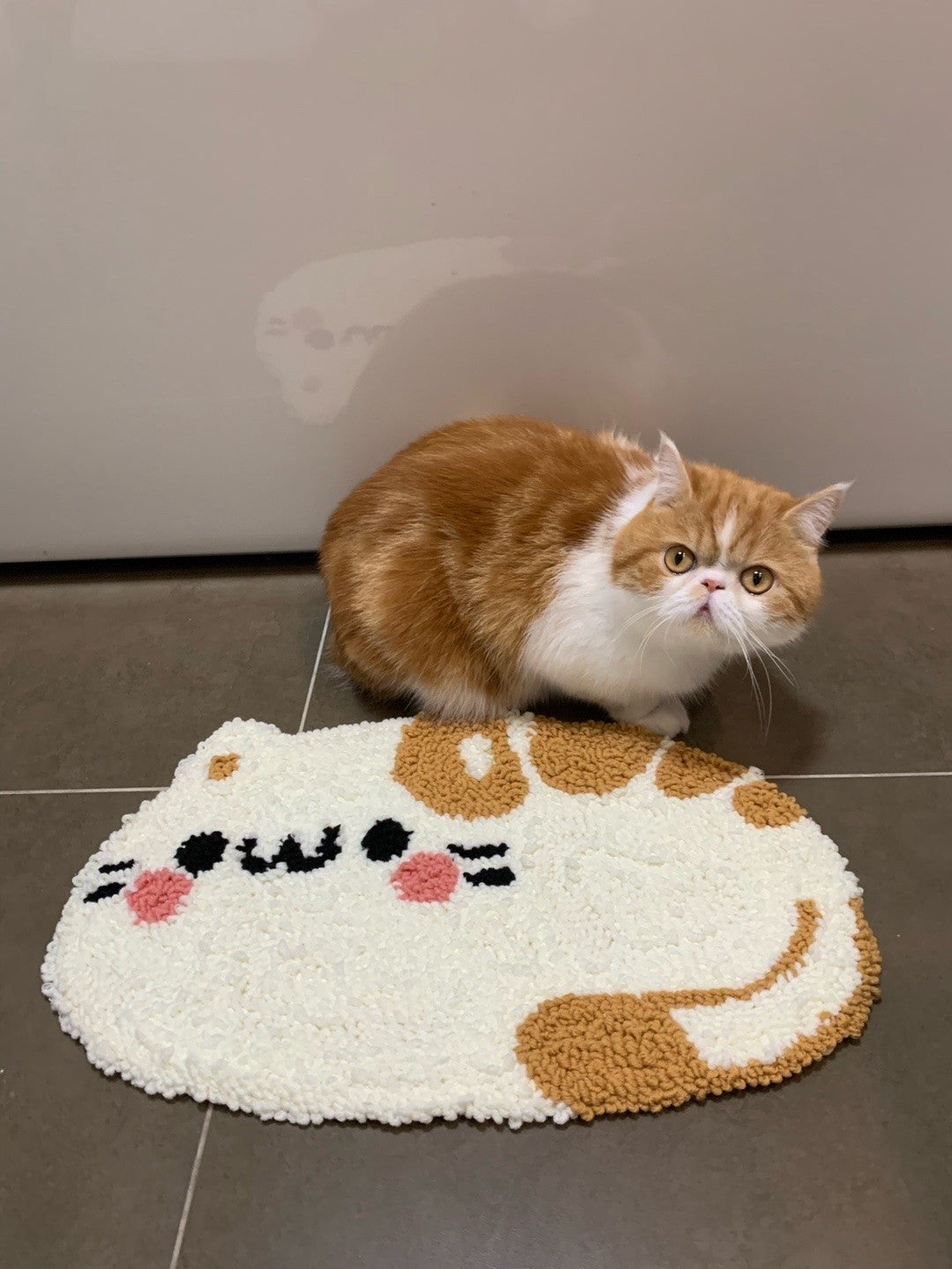 Rug*Made to Order* Custom Picture- Personalized Gift